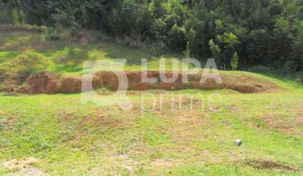 Terreno em condomínio fechado à venda em Santana!