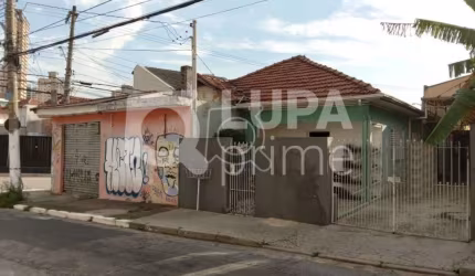 TERRENO 300M² DE ÁREA TOTAL- SANTA TERESINHA