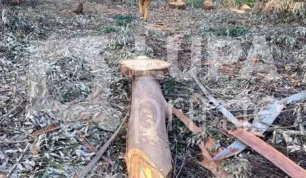 Terreno, em condomínio fechado, de 1575m² à venda, em Mairiporã
