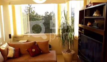 Apartamento com 3 dormitórios sendo 1 suíte á venda no Barro Branco