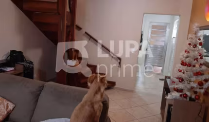 Sobrado com 4 dormitórios à venda no bairro do Limão!