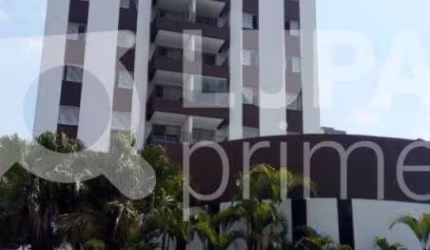 Apartamento com 3 dormitórios sendo 1 suíte á venda em Santa Terezinha!