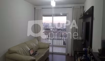 APARTAMENTO - CASA VERDE
