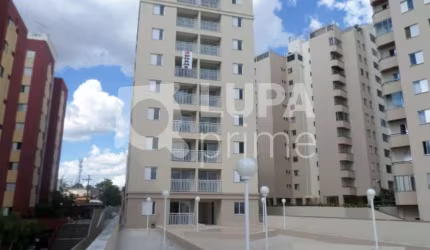 Apartamento com 2 dormitórios à venda na Vila Curuça!