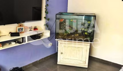 CASA PARA RENDA À VENDA NA VILA GUILHERME