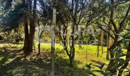 TERRENO RESIDENCIAL COM 5.000M² À VENDA EM ATIBAIA