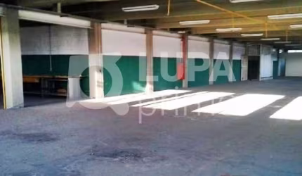 SOBRELOJA COM 800M² PARA LOCAÇÃO, JARDIM GUANÇA, SÃO PAULO