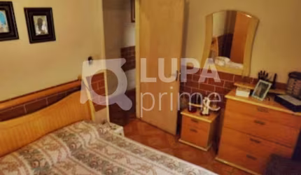 CASA TÉRREA COM 2 QUARTOS PARA VENDA, VILA MARIA, SÃO PAULO