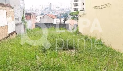 TERRENO RESIDENCIAL COM 420M² PARA VENDA, JARDIM DAS LARANJEIRAS, SÃO PAULO
