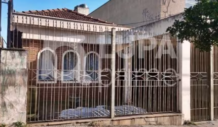 CASA TÉRREA COM 3 QUARTOS PARA VENDA, VILA MARIA, SÃO PAULO