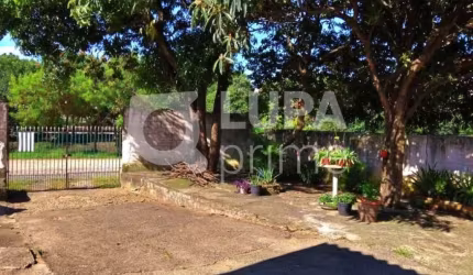 TERRENO PARA VENDA , 569M² , VILA GUILHERME , SÃO PAULO .