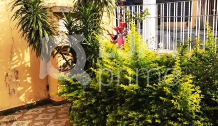 CASA TÉRREA COM 2 QUARTOS PARA VENDA, LAUZANE PAULISTA, SÃO PAULO