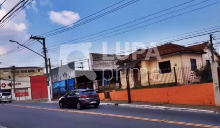 TERRENO COMERCIAL COM 1.800M² PARA VENDA, VILA GUILHERME, SÃO PAULO