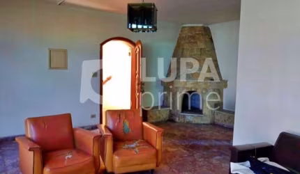 CASA TÉRREA COM 03 QUARTOS PARA VENDA, VILA MARIA, SÃO PAULO