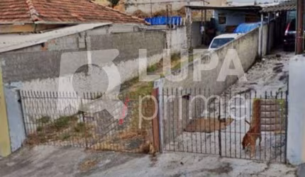 TERRENO RESIDENCIAL COM 284M² PARA VENDA, VILA MARIA ALTA, SÃO PAULO