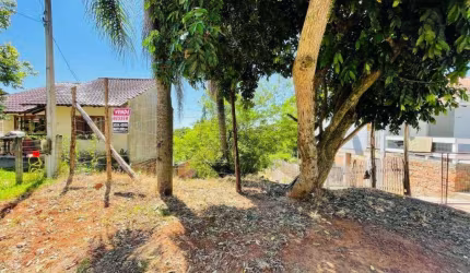 Terreno à venda, 350 m² por R$ 86.000,00 - Campestre - São Leopoldo/RS
