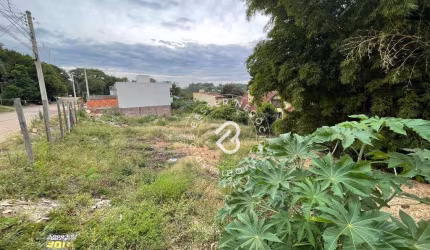 Terreno à venda, 221 m² por R$ 116.900,00 - Campestre - São Leopoldo/RS