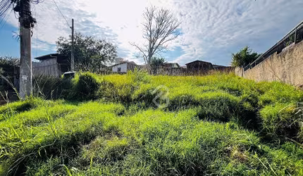 Terreno à venda, 308 m² por R$ 265.000 - Nova Sapucaia - Sapucaia do Sul/RS