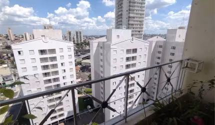 Apartamento com 3 quartos à venda em Vila Prudente - SP