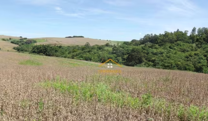 Fazenda à venda, 145200 m² por R$ 1.500.000 - Monte Verde - Santo Antônio da Platina/PR