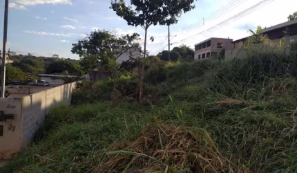 Lote BELVEDERE