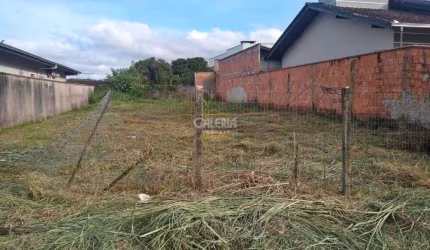 TERRENO no ITAUM com 0 quartos para VENDA, 360 m²