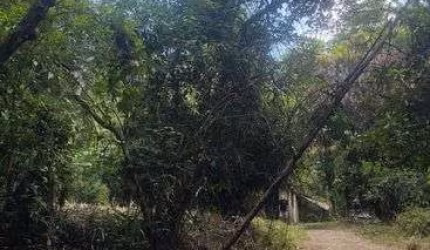 Área de quase 8 mil M2 podendo desmatar até 60 por cento da Área.