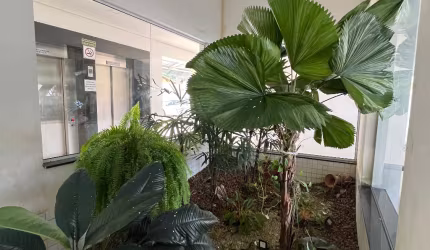 Lindo apartamento 2 quartos, 2 banheiros, em Caraguatatuba -SP