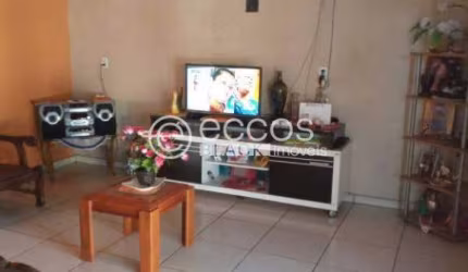 Casa à venda, 2 quartos, 1 vaga, Vieno - ARAGUARI/MG