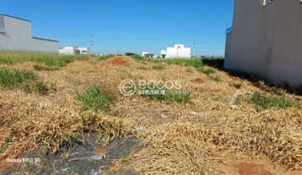 Terreno para aluguel, Alto Umuarama - Uberlândia/MG