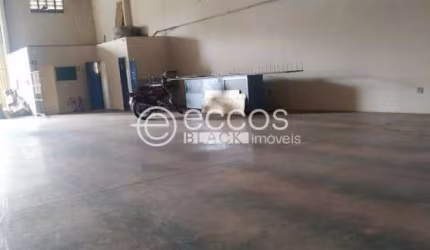 Barracão para aluguel, 1 quarto, Minas Gerais - Uberlândia/MG
