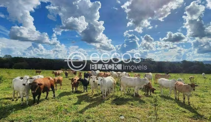 Fazenda à venda, 4 quartos, 1 suíte, Zona Rural - CAMPO FLORIDO/MG