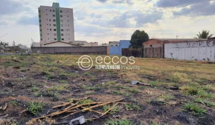 Terreno à venda, Santa Mônica - Uberlândia/MG