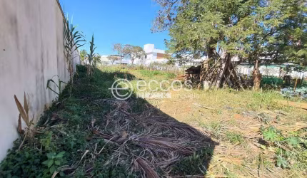 Terreno à venda, Jardim Karaíba - Uberlândia/MG