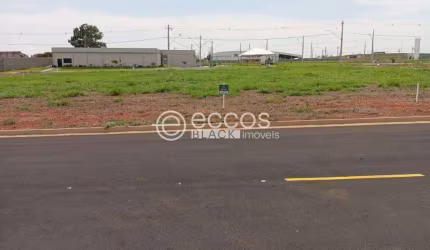 Terreno em condomínio à venda, PAINEIRAS - ARAGUARI/MG