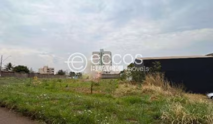 Área à venda, Segismundo Pereira - Uberlândia/MG