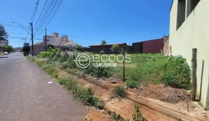 Terreno à venda, Santa Mônica - Uberlândia/MG