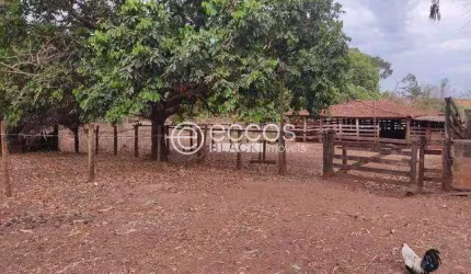 Fazenda à venda, 4 quartos, Miraporanga - Uberlândia/MG