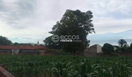Terreno à venda, CENTRO - ARAGUARI/MG