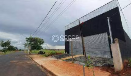 Galpão para aluguel, São Jorge - Uberlândia/MG