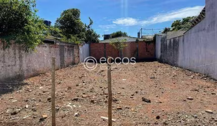 Terreno à venda, Vigilato Pereira - Uberlândia/MG