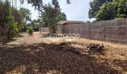 Terreno à venda, Chácaras Rancho Alegre - Uberlândia/MG
