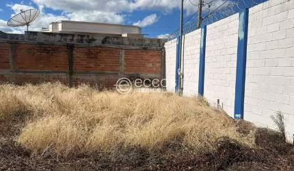 Imóvel Comercial para aluguel, CENTRO - ARAGUARI/MG