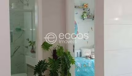 Apartamento à venda, 2 quartos, 1 vaga, Chácaras Tubalina e Quartel - Uberlândia/MG