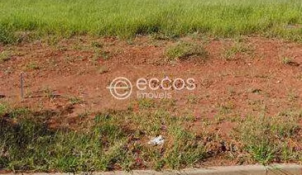Terreno à venda, Aclimação - Uberlândia/MG
