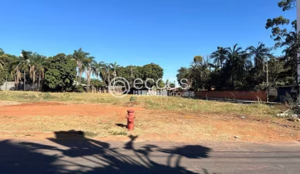 Terreno à venda, Chácaras Tubalina e Quartel - Uberlândia/MG