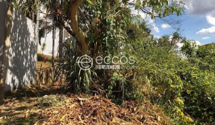 Terreno à venda, Mirante da Mata - Nova Lima/MG