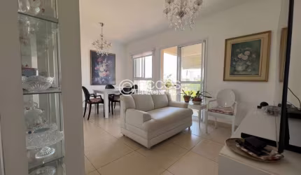 Apartamento à venda, 2 quartos, 1 suíte, 2 vagas, Cidade Jardim - Uberlândia/MG