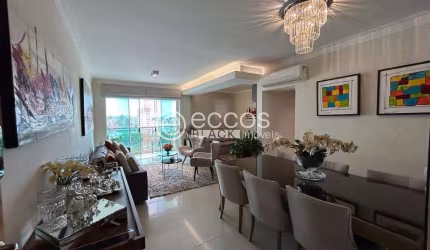 Apartamento à venda, 2 quartos, 1 suíte, 2 vagas, Centro - Uberlândia/MG