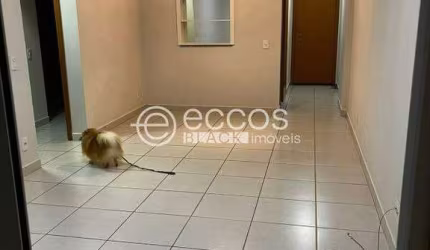 Apartamento à venda, 2 quartos, 2 suítes, 2 vagas, Umuarama - Uberlândia/MG